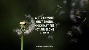 A straw vote only shows which way the hot air blows