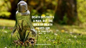 Death destroys a man, but the idea of death saves him