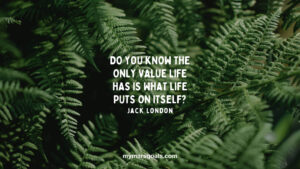 Do you know the only value life has is what life puts on itself