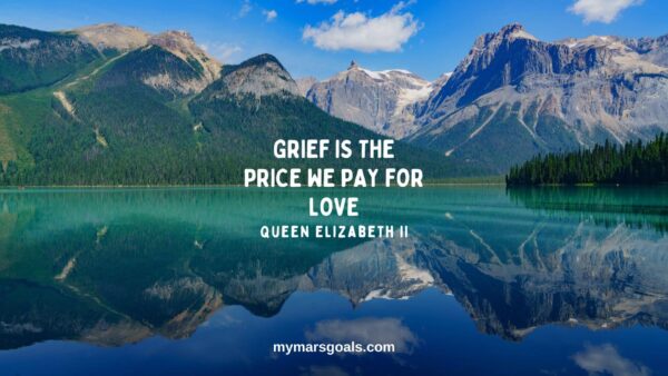 Grief is the price we pay for love
