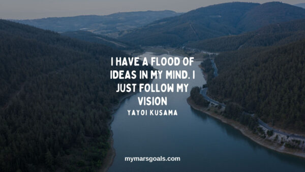 I have a flood of ideas in my mind. I just follow my vision