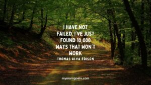 I have not failed. I've just found 10,000 ways that won't work