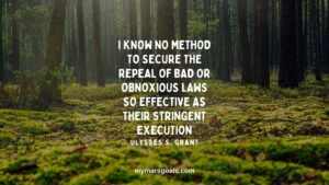 I know no method to secure the repeal of bad or obnoxious laws so effective as their stringent execution