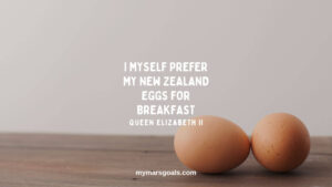 I myself prefer my New Zealand eggs for breakfast