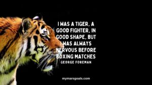 I was a tiger, a good fighter, in good shape, but I was always nervous before boxing matches