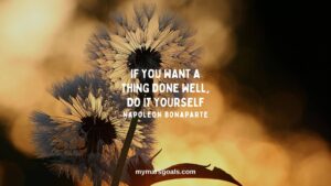 If you want a thing done well, do it yourself