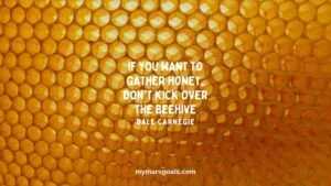 If you want to gather honey, don't kick over the beehive