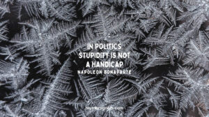 In politics stupidity is not a handicap