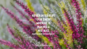 Never interrupt your enemy when he is making a mistake