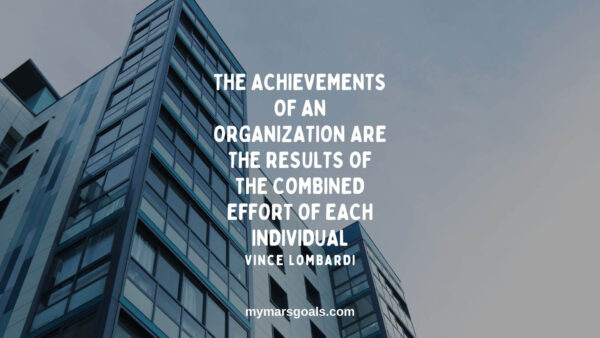 The achievements of an organization are the results of the combined effort of each individual