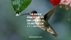 The bird is powered by its own life and by its motivation