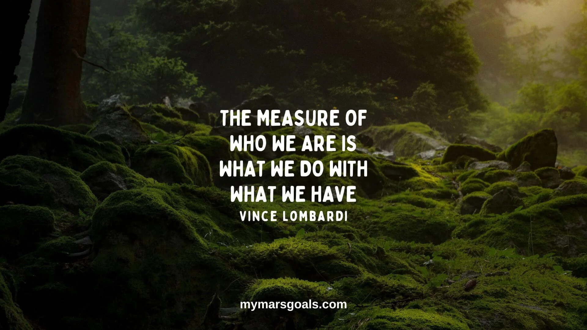 The measure of who we are is what we do with what we have