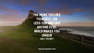 The more you like yourself, the less you are like anyone else, which makes you unique