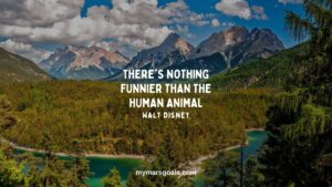 There's nothing funnier than the human animal