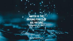Water is the driving force of all nature