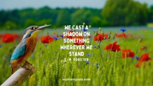 We cast a shadow on something wherever we stand