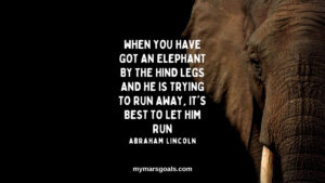 When you have got an elephant by the hind legs and he is trying to run away, it's best to let him run