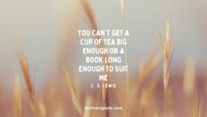 You can't get a cup of tea big enough or a book long enough to suit me
