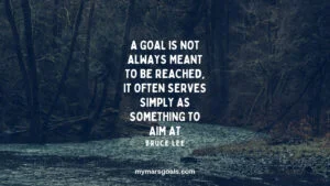 A goal is not always meant to be reached, it often serves simply as something to aim at