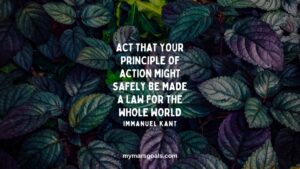 Act that your principle of action might safely be made a law for the whole world