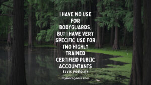 I have no use for bodyguards, but I have very specific use for two highly trained certified public accountants