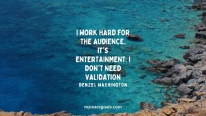 I work hard for the audience. It's entertainment. I don't need validation
