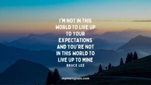 I'm not in this world to live up to your expectations and you're not in this world to live up to mine