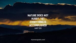 Nature does not hurry, yet everything is accomplished