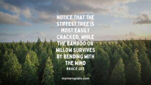Notice that the stiffest tree is most easily cracked, while the bamboo or willow survives by bending with the wind
