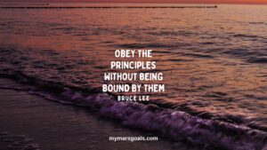 Obey the principles without being bound by them