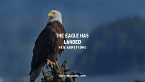 The Eagle has landed