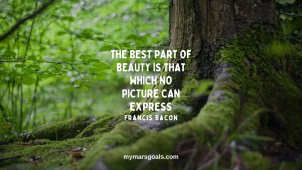The best part of beauty is that which no picture can express