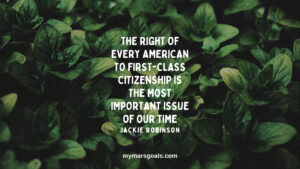 The right of every American to first-class citizenship is the most important issue of our time