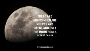 There are nights when the wolves are silent and only the moon howls