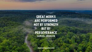 Great works are performed not by strength but by perseverance