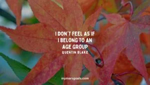 I don't feel as if I belong to an age group