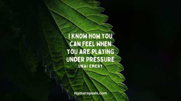 I know how you can feel when you are playing under pressure