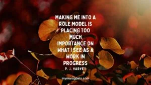 Making me into a role model is placing too much importance on what I see as a work in progress