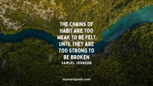 The chains of habit are too weak to be felt until they are too strong to be broken