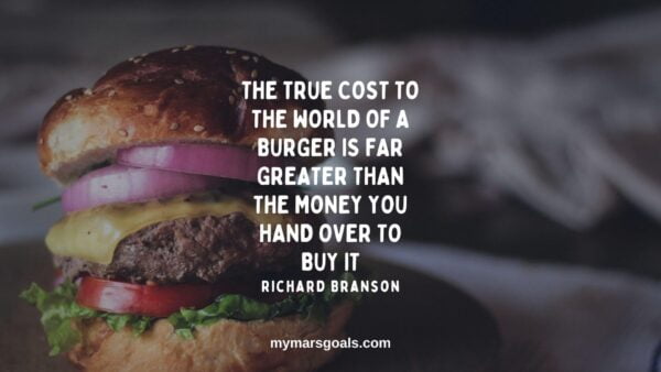The true cost to the world of a burger is far greater than the money you hand over to buy it