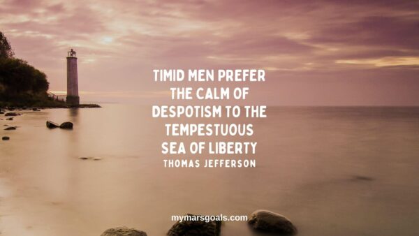 Timid men prefer the calm of despotism to the tempestuous sea of liberty