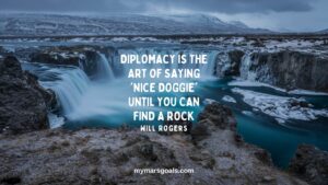 Diplomacy is the art of saying 'Nice doggie' until you can find a rock