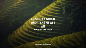 I wish they would only take me as I am