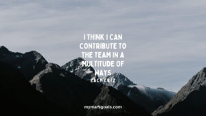 I think I can contribute to the team in a multitude of ways