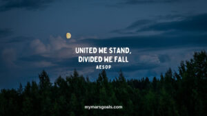 United we stand, divided we fall