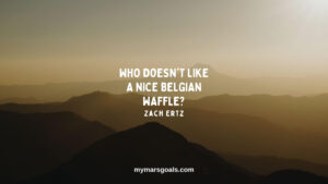 Who doesn't like a nice Belgian waffle