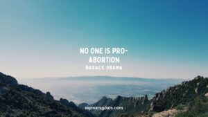 No one is pro-abortion