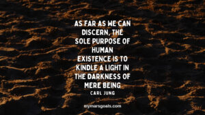 As far as we can discern, the sole purpose of human existence is to kindle a light in the darkness of mere being