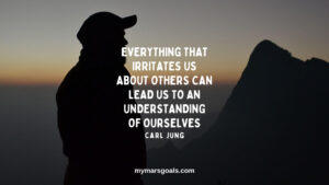 Everything that irritates us about others can lead us to an understanding of ourselves