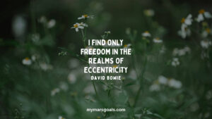 I find only freedom in the realms of eccentricity